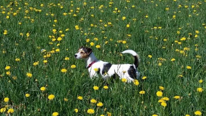 Fotowettbewerb Natur-Beitrag-Bild