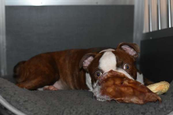 Fotochallenge Nr. 64-Beitrag-Bild