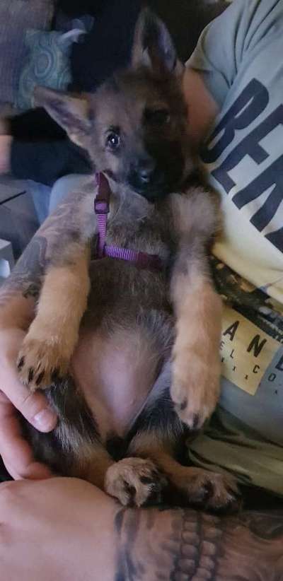 Foto Challenge 3-Beitrag-Bild