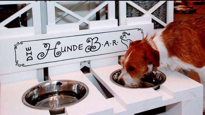 Ernährungsberater-Die Hundebarf-Bild