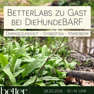 Hundetreffen-Infoveranstaltung Darmgesundheit-Bild