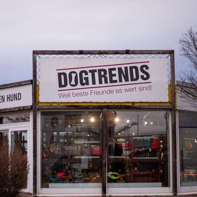 Hundeshops-DOGTRENDS-Bild
