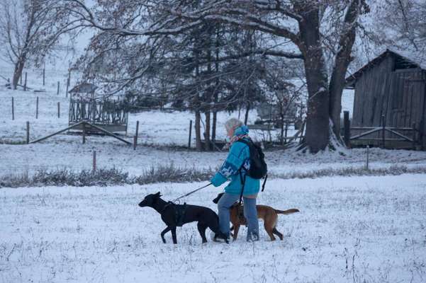 Dogorama Photo Challenge - Winterstimmung-Beitrag-Bild