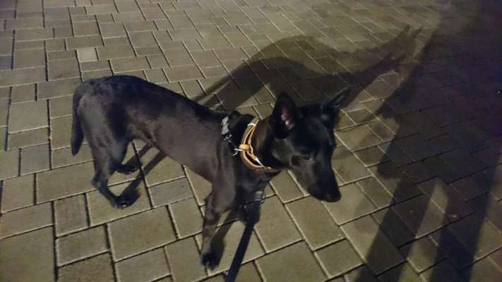 Fotochallange Nr. 46

Schattenspiele BEENDET!!!!!-Beitrag-Bild