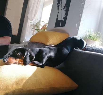 Hier ist der Spaßthread. Zum Schmunzeln und Kaputtlachen-Beitrag-Bild