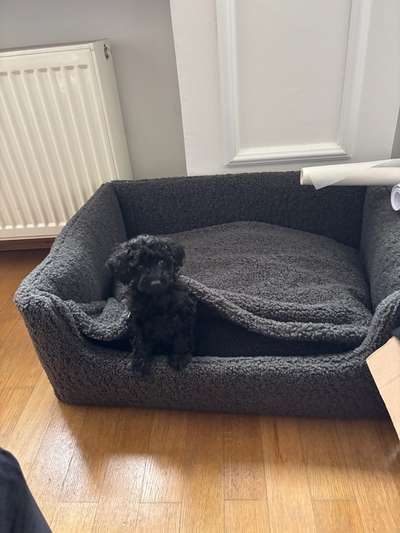 Alleinsein und Betttraining-Beitrag-Bild