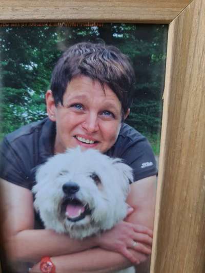 euer ältester Hund ?-Beitrag-Bild