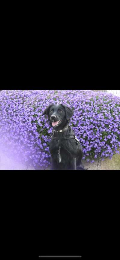 Doppelgänger gesucht !-Beitrag-Bild