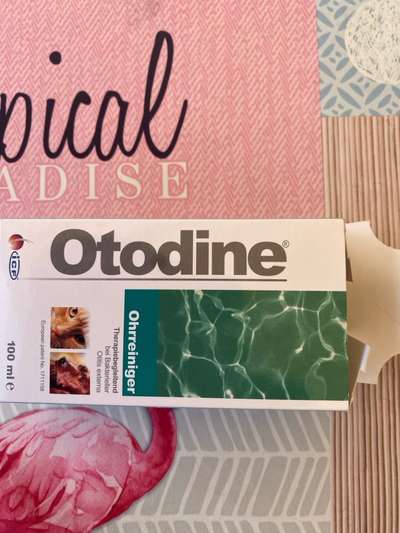 Was hat euch heute gefreut?-Beitrag-Bild