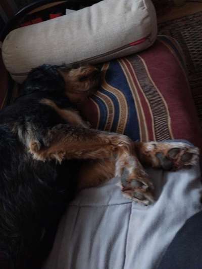 32. Farben Challenge  ** ( BUNTE ) STREIFEN **-Beitrag-Bild