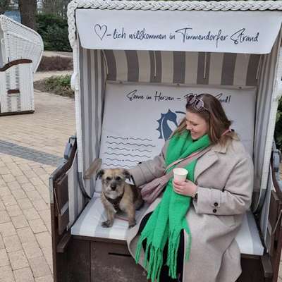 Hundetreffen-Gemeinsame Gassirunden-Bild