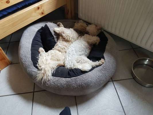 Challenge 30  Freundschaft-Beitrag-Bild