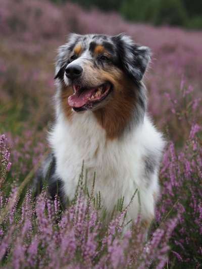 Fotochallenge 78

Es grünt und blüht-Beitrag-Bild