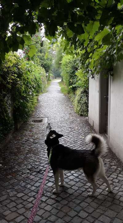 Fotochallenge Nr. 67: Euer Lieblingsbild-Beitrag-Bild