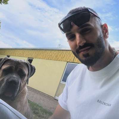 Hundetreffen-Mein Cane Corso Junghund sucht Freunde zum spielen er ist sehr lieb wirklich sehr-Bild