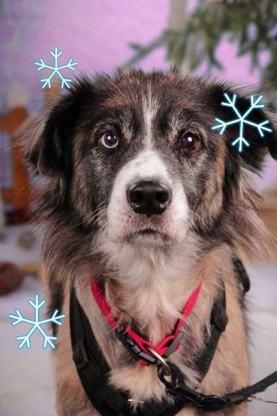 Photoshop und Co.-Beitrag-Bild