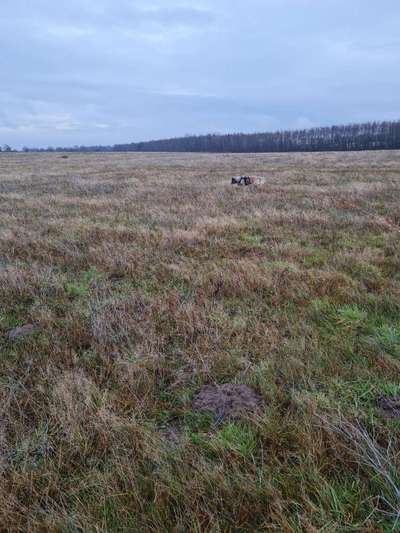 Ton in Ton-Beitrag-Bild