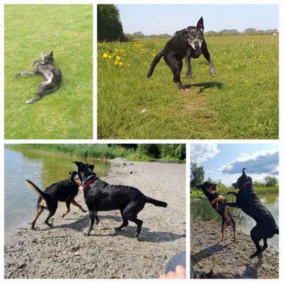 22. Collagen Challenge- Lebensfreude-Beitrag-Bild