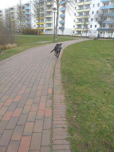 Lustigsten Bilder-Beitrag-Bild