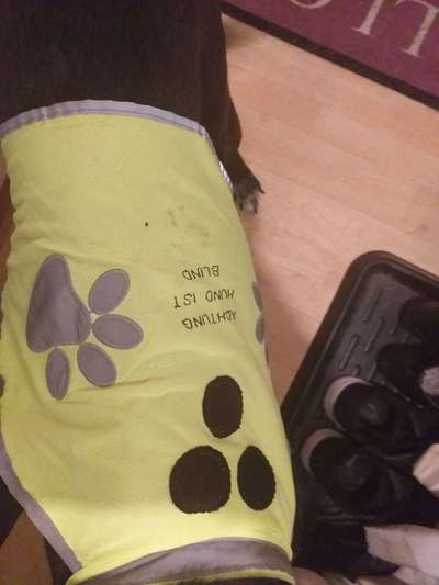 einfach Info-Beitrag-Bild