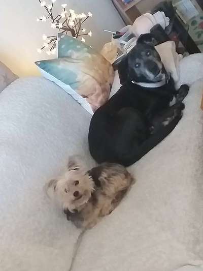 Die graue Eminenz-Beitrag-Bild