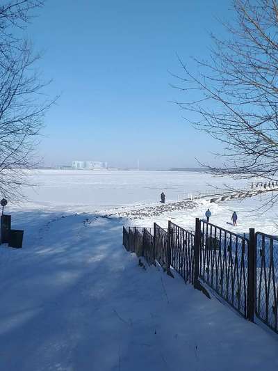 Die wunderschöne Welt mit Hund.-Beitrag-Bild