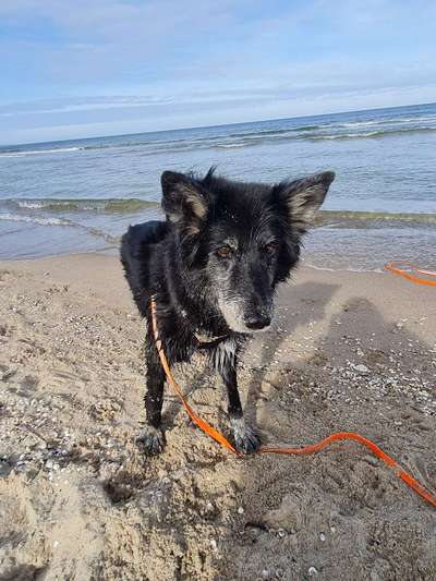 Eure Strandbilder :)-Beitrag-Bild