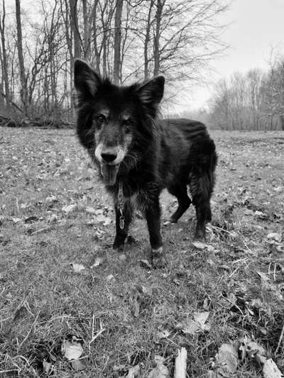 Foto-Challenge 76: Foto in Schwarz-Weiss-Beitrag-Bild