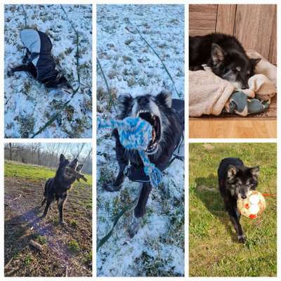 22. Collagen Challenge- Lebensfreude-Beitrag-Bild