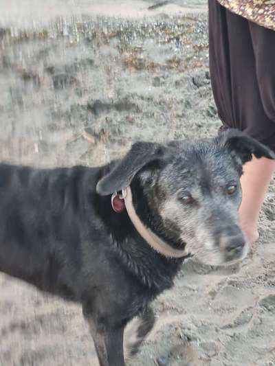 Un...scharf Bilder-Beitrag-Bild