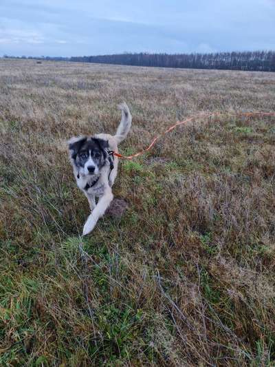 23. Collagen-Challenge: Portraits-Beitrag-Bild