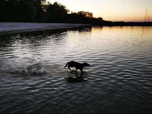 35. Handy Foto Challenge - Das nasse Element-Beitrag-Bild