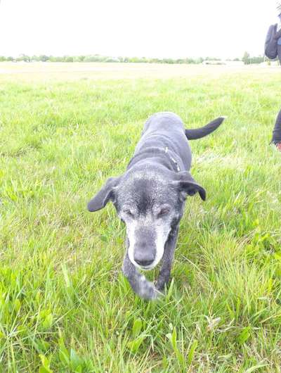 Blick fürs Detail!-Beitrag-Bild