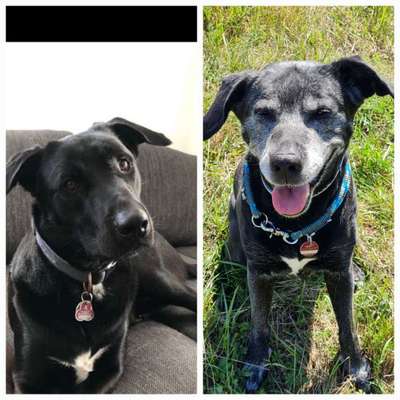 Außergewöhnliche Merkmale-Beitrag-Bild