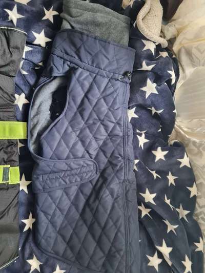 Regenmantel für große Hunde-Beitrag-Bild