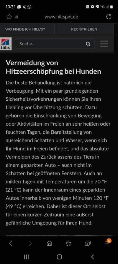 Hund im Backofen!!! Todesfalle Auto...-Beitrag-Bild