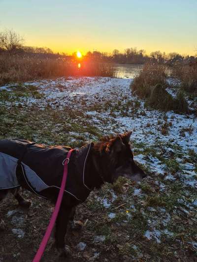 Sonnenaufgänge oder - untergänge-Beitrag-Bild