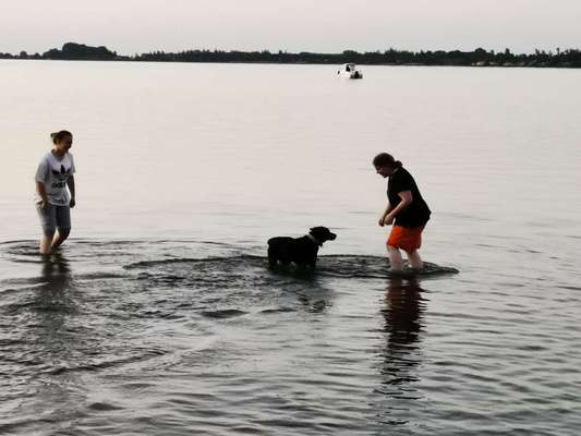 Challenge 33 - Du und dein Hund-Beitrag-Bild