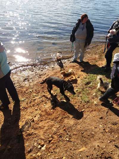 Fotochallenge 27-Beitrag-Bild