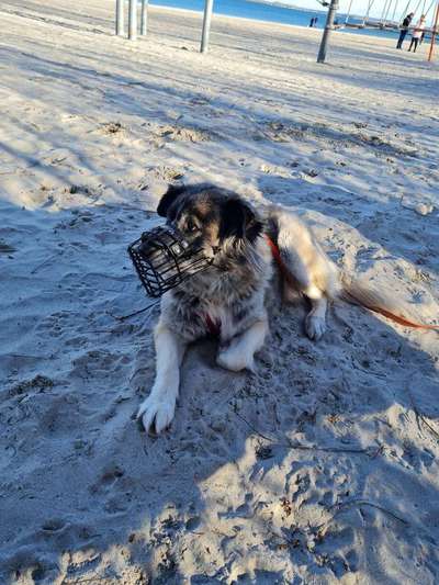 Impulskontrolle Challenge Nr.: 7
         "Gesellschaftsfähig"-Beitrag-Bild