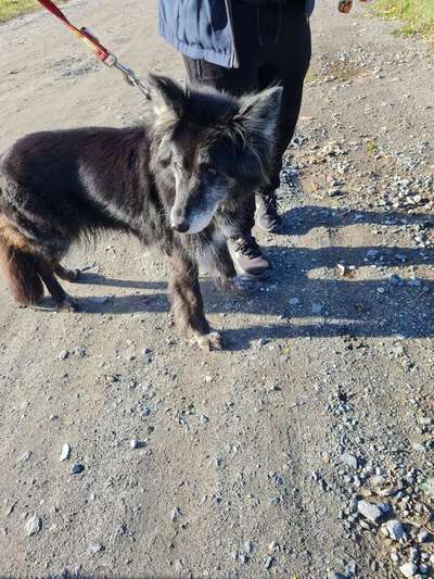 Erstes Bild-Beitrag-Bild