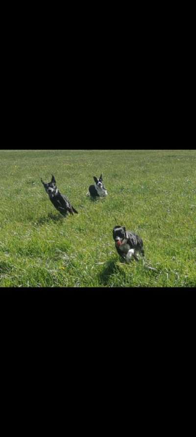 Lieblings Fotos-Beitrag-Bild