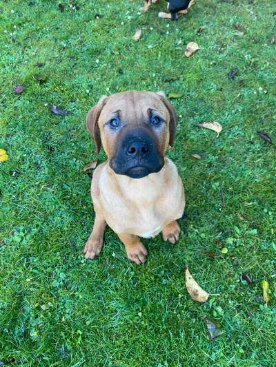 Fotochallange Nr. 57     PORTRÄT.   Beendet!!!!!!!!-Beitrag-Bild