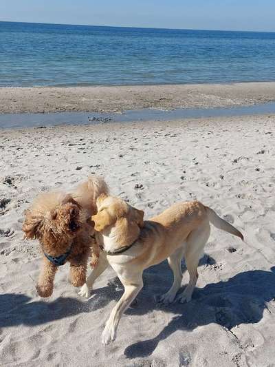 Ratespaß geht weiter-Beitrag-Bild