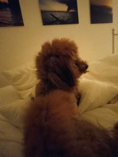 Erziehung und die Gefühle dabei-Beitrag-Bild