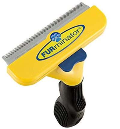 Hundehaare Mops-französische Bulldoggen-mix-Beitrag-Bild