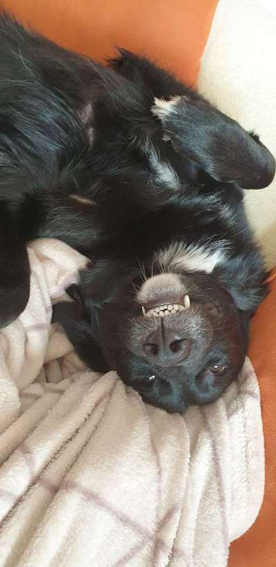 Challenge Nr. 10: "Das schönste Lächeln"-Beitrag-Bild