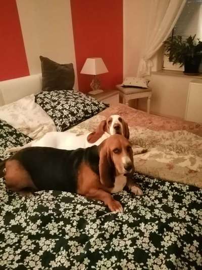 Mäkeliger Fresser-Beitrag-Bild