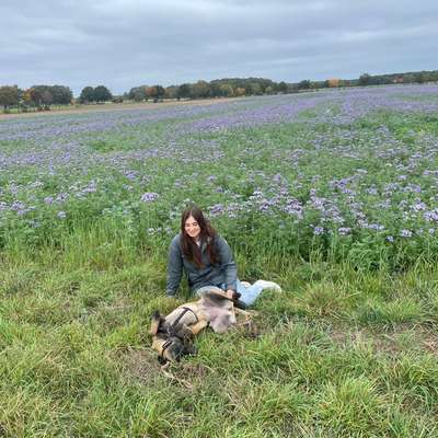 Hundetreffen-Girls Walk 🐕💗-Bild