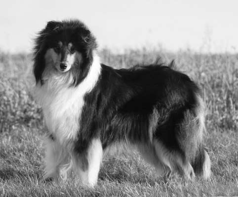 Foto-Challenge 76: Foto in Schwarz-Weiss-Beitrag-Bild